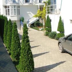 Фото Отель Дуэт