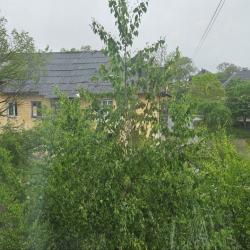 Фото Апартаменты на улице Комсомольская 26