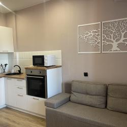 Фото Отель CrystalRentals (КристалРенталс) на улице Бориса Житкова 6 корпус 1