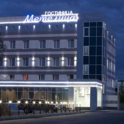 Фото Отель Метелица