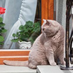 Фото Отель KuprInn (КупрИнн)