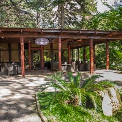 Фото Отель Alean Family Sputnik (Алеан Фэмили Спутник)