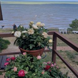Приморская — 265aa93fe30830d22ee28454257d56d0
