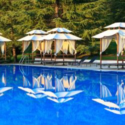 фото 8 RODINA Grand Hotel & SPA (Родина)