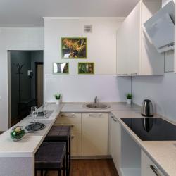 Апартаменты студия 1-комнатные апартаменты студия