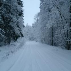 Фото Отель Гармония