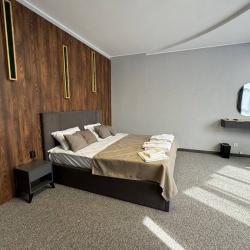 Номер люкс с 1 двуспальной кроватью без балкона