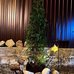 Фото Отель У Германа