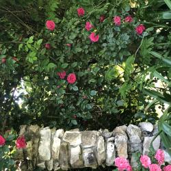 Фото Отель Alaku Hotel (Алаку)