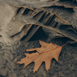 Фото Апартаменты на улице Садовая 5