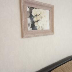 1-комнатные апартаменты студия