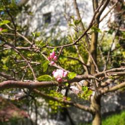 Фото Отель Town Park (Таун парк)