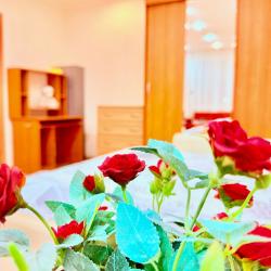 Апартаменты стандарт Пионерская 10