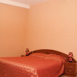 Номер люкс с 1 двуспальной кроватью  #207