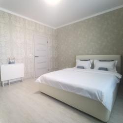 Фото Апартаменты на улице Красных Партизан 1/4 корпус 15