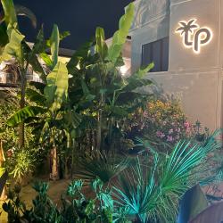 Фото Отель Little Palm (Литл Палм)