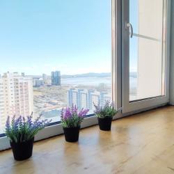 1-комнатные апартаменты стандарт