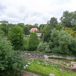 Апартаменты стандарт улица Носова, 11