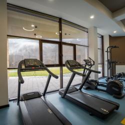 Фото Отель Forrest Terrace Hotel (Форрест Терасса)