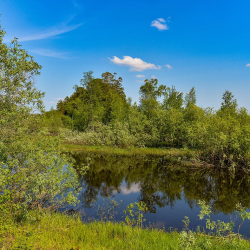 Фото Отель Таёжная