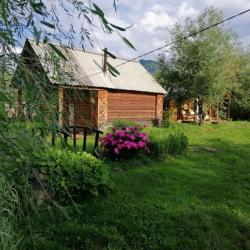 Фото Отель Алтайна