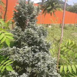 Фото Отель Фил Хаус