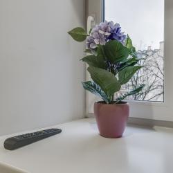 Апартаменты улучшенные Ленина, 49