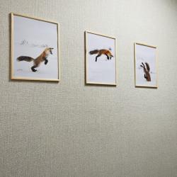 Фото FOX Хостел (Фокс)