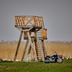 Фото Отель Липовый Парк