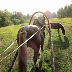 Фото Отель Малиновая слобода