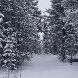Фото Отель Гиперборея