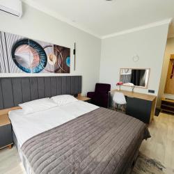 Номер повышенной комфортности с 1 двуспальной кроватью #8