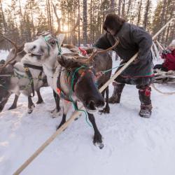 Фото Отель Парк Голубино