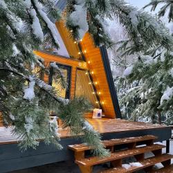 Фото Отель Кусочек рая в соснах