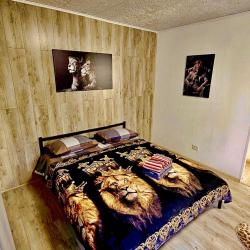 Фото Апартаменты Onebed на улице Ярцевская