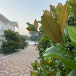 Фото Отель Дюны Золотые