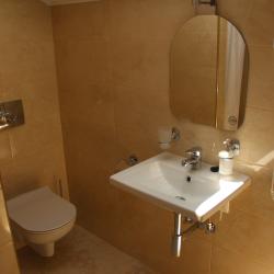 1-комнатные апартаменты люкс (мансарда)