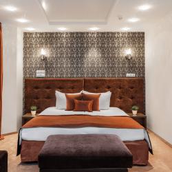 Номер люкс премиум с 1 двуспальной кроватью