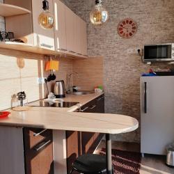 1-комнатные апартаменты с балконом и кухней