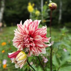 Фото Отель Горы-море House (Хаус)