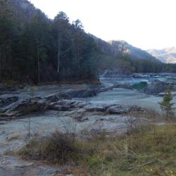 Фото Отель Кедровый остров