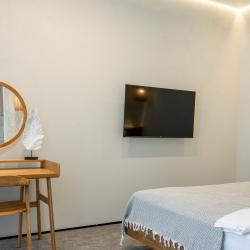 Номер полулюкс с 1 двуспальной кроватью и диваном