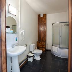 Номер стандарт с 1 двуспальной кроватью