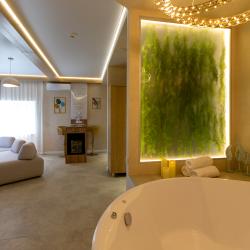 Kamarooms Business Hotel & Spa (Камарумс) — 27597a94b61055b4a184c09c390914a3