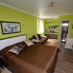 1-комнатные апартаменты студия