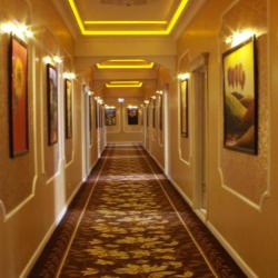 Фото Отель Ковчег