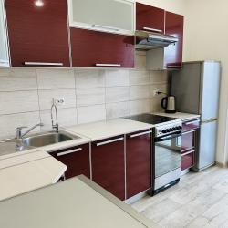 Фото Апартаменты на улице Суоярвская 24