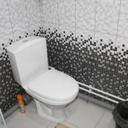 Фото Отель Вингс