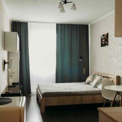 Фото Апартаменты на улице Карамзина 16