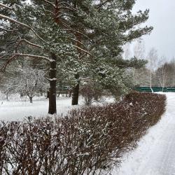 Фото Отель Изумруд